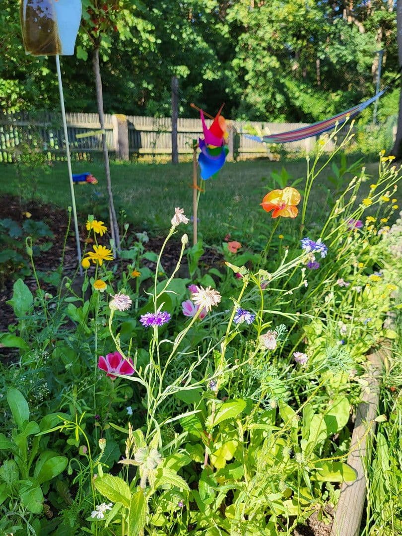 Pronájem domu 90 m², pozemek 350 m², Röthenbach an der Pegnitz, Bavorsko Pronájem domu 90 m², pozemek 350 m², Röthenbach an der Pegnitz, Bavorsko