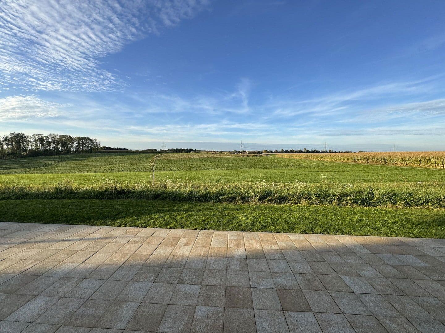 Prodej domu 227 m², pozemek 639 m², Laupheim, Bádensko-Württembersko Prodej domu 227 m², pozemek 639 m², Laupheim, Bádensko-Württembersko