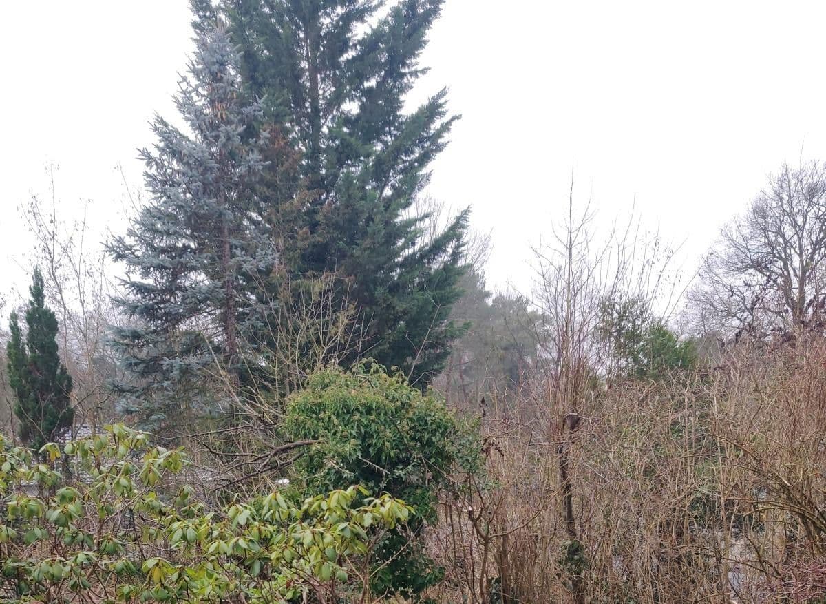 Prodej domu 180 m², pozemek 1.412 m², Wildbahn 48, Berlin, Berlín Prodej domu 180 m², pozemek 1.412 m², Wildbahn 48, Berlin, Berlín