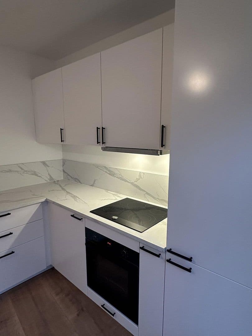 Pronájem bytu 1+kk 56 m², Stuttgart, Bádensko-Württembersko Pronájem bytu 1+kk 56 m², Stuttgart, Bádensko-Württembersko