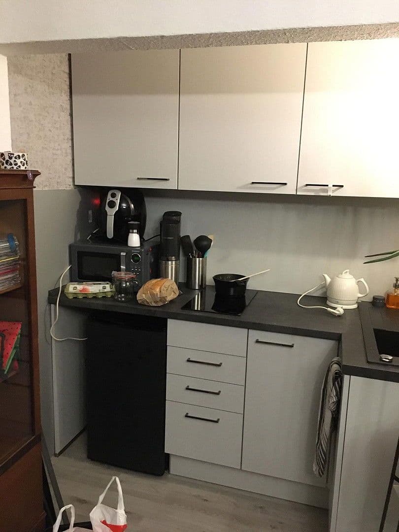 Pronájem bytu 1+1 28 m², Mühlenweg 1, Braunschweig, Dolní Sasko Pronájem bytu 1+1 28 m², Mühlenweg 1, Braunschweig, Dolní Sasko