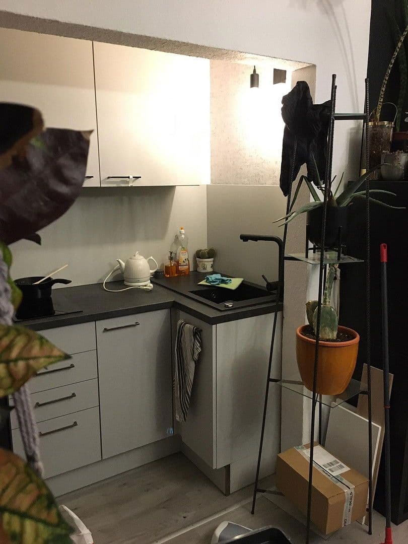 Pronájem bytu 1+1 28 m², Mühlenweg 1, Braunschweig, Dolní Sasko Pronájem bytu 1+1 28 m², Mühlenweg 1, Braunschweig, Dolní Sasko