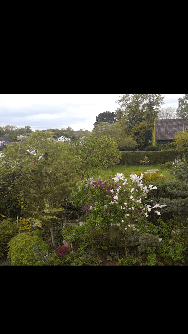 Prodej domu 132 m², pozemek 256 m², Dasing, Bavorsko Prodej domu 132 m², pozemek 256 m², Dasing, Bavorsko