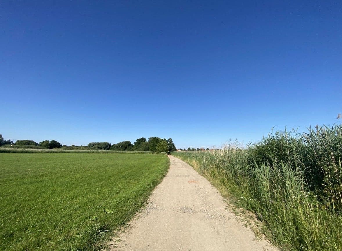 Prodej chaty, chalupy 6.990 m², pozemek 6.990 m², Labské Chrčice, Pardubický kraj Prodej chaty, chalupy 6.990 m², pozemek 6.990 m², Labské Chrčice, Pardubický kraj