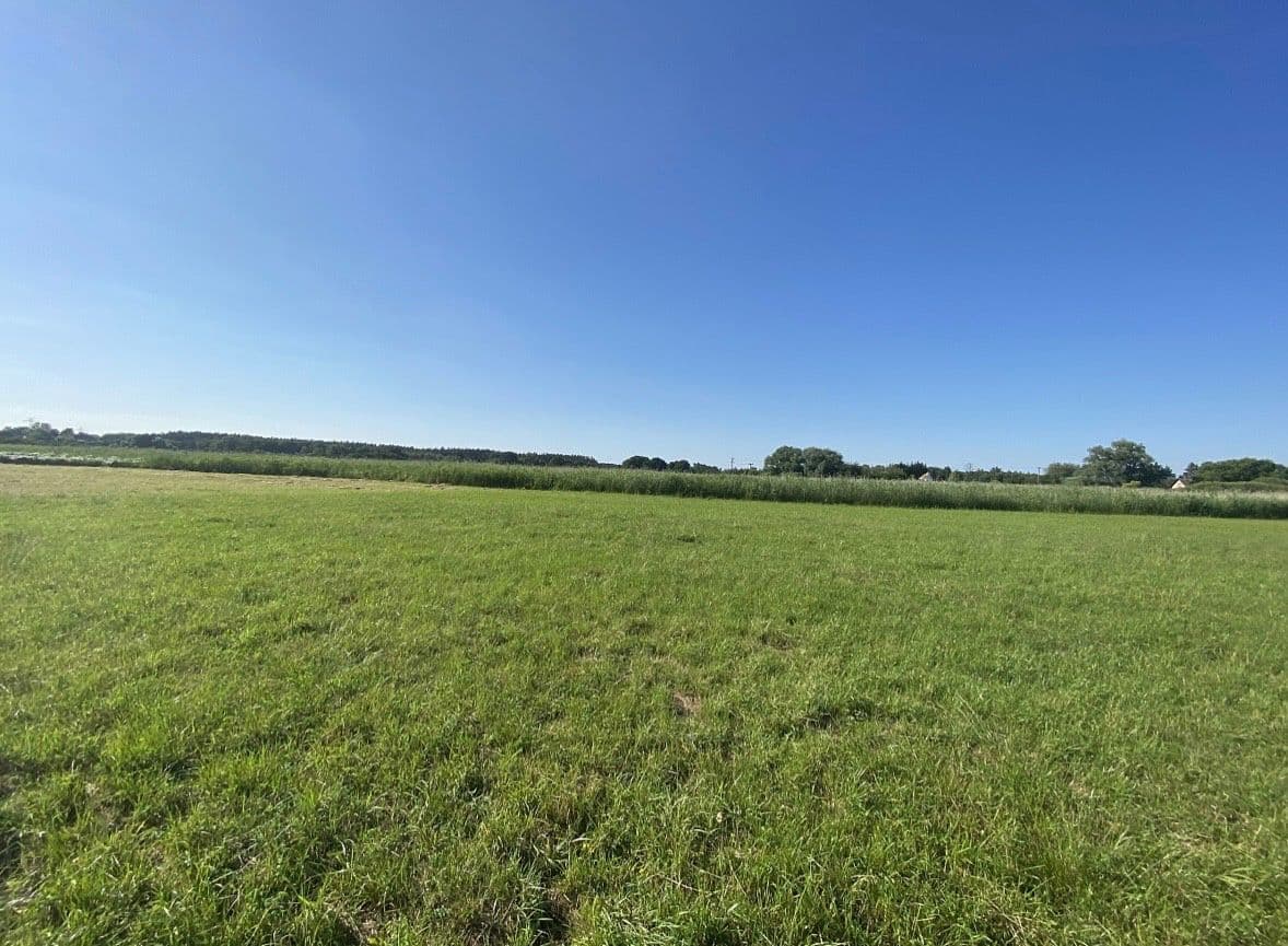 Prodej chaty, chalupy 6.990 m², pozemek 6.990 m², Labské Chrčice, Pardubický kraj Prodej chaty, chalupy 6.990 m², pozemek 6.990 m², Labské Chrčice, Pardubický kraj
