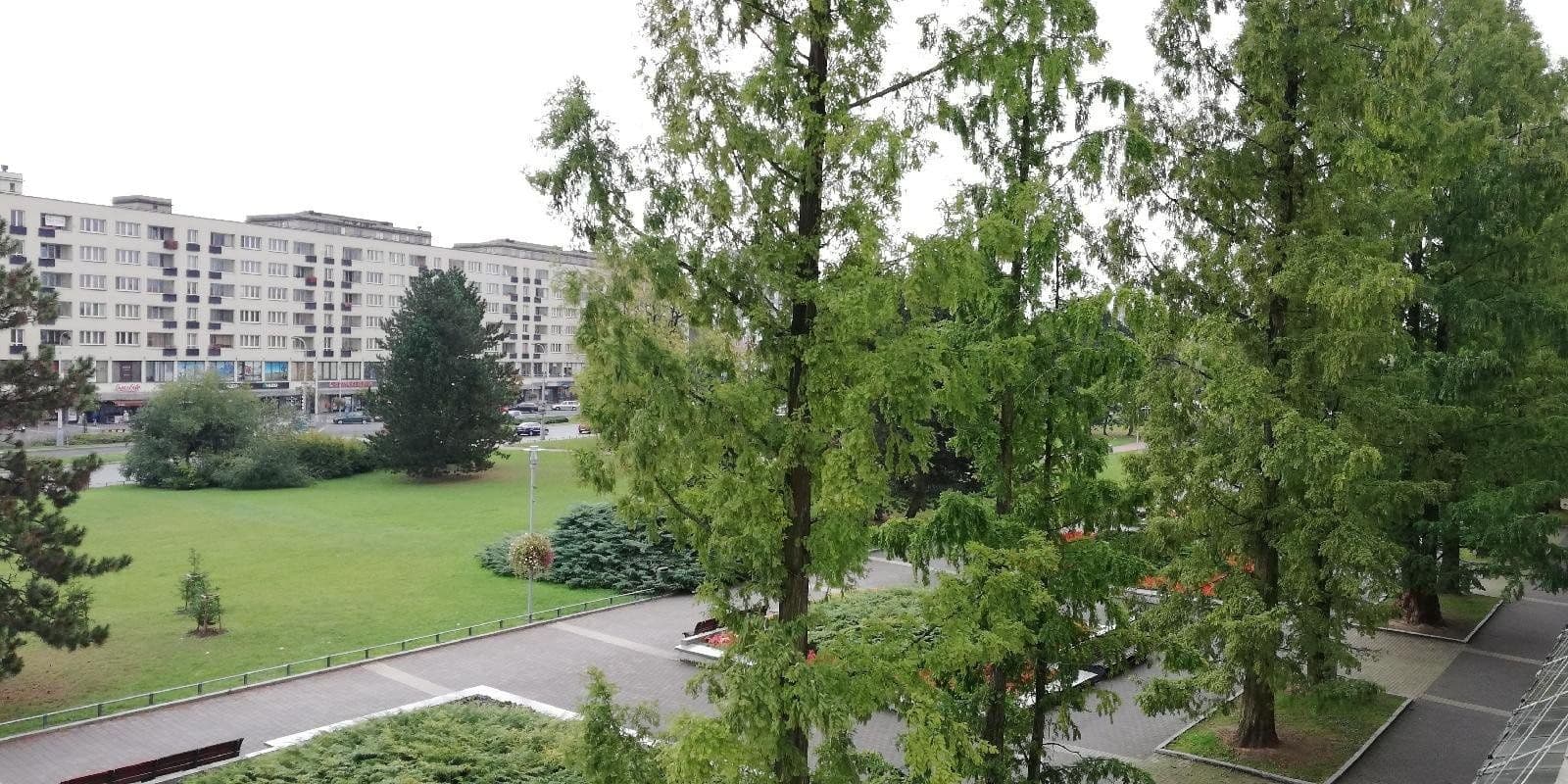 Pronájem bytu 2+1 50 m², nám. Republiky, Havířov, Moravskoslezský kraj Pronájem bytu 2+1 50 m², nám. Republiky, Havířov, Moravskoslezský kraj