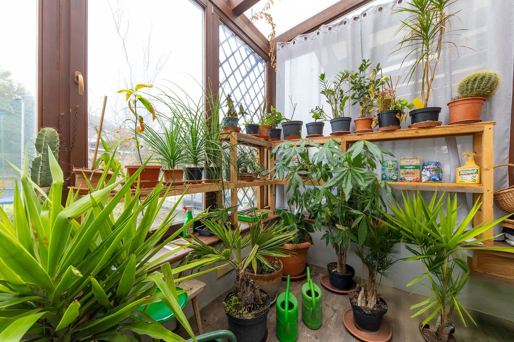 Prodej domu 215 m², pozemek 473 m², Křemelná, Křelov-Břuchotín, Olomoucký kraj Prodej domu 215 m², pozemek 473 m², Křemelná, Křelov-Břuchotín, Olomoucký kraj