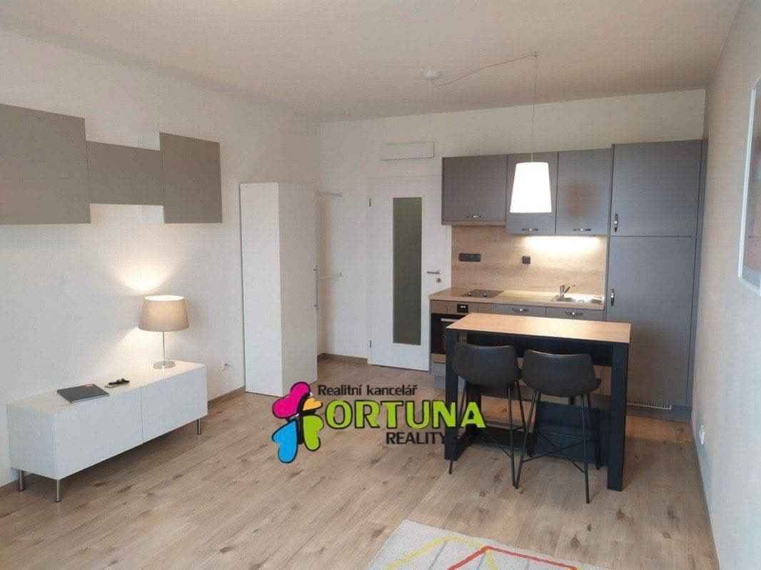 Pronájem bytu 1+kk 32 m², U Konečné, Praha, Praha Pronájem bytu 1+kk 32 m², U Konečné, Praha, Praha