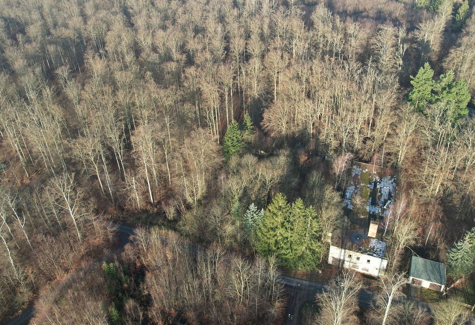 Prodej pozemku 7.076 m², Klobenberg 1, Thale, Sasko-Anhaltsko Prodej pozemku 7.076 m², Klobenberg 1, Thale, Sasko-Anhaltsko