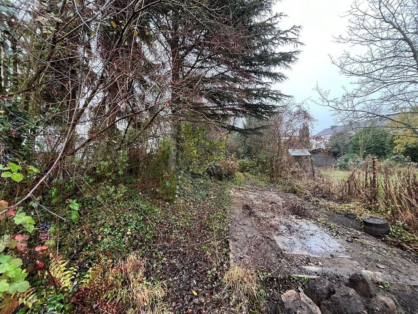 Prodej domu 85 m², pozemek 776 m², Langenackerstraße 78, Brühl, Severní Porýní-Vestfálsko Prodej domu 85 m², pozemek 776 m², Langenackerstraße 78, Brühl, Severní Porýní-Vestfálsko