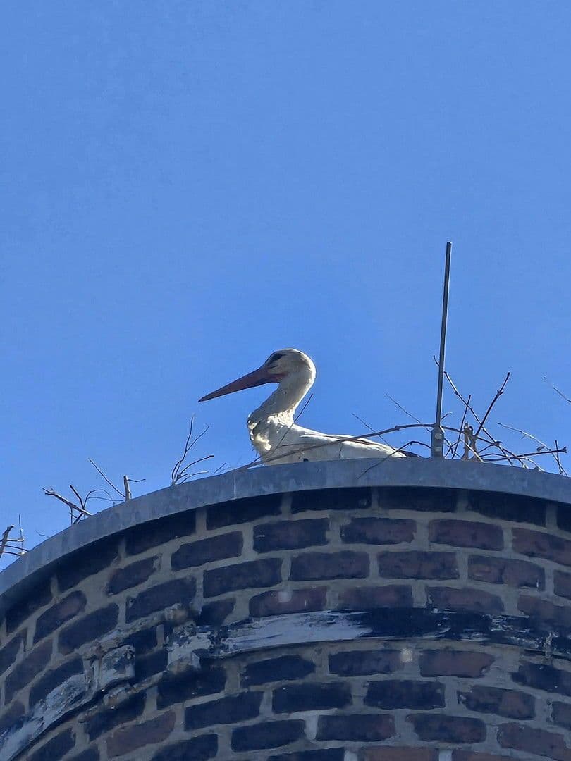 Pronájem bytu 4+1 135 m², Kitscherstr, 10, Křemeničov, Sasko Pronájem bytu 4+1 135 m², Kitscherstr, 10, Křemeničov, Sasko