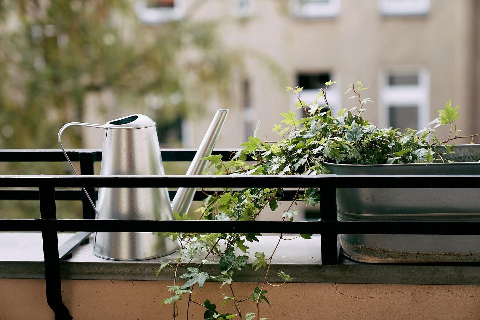 Pronájem bytu 2+1 49 m², Berlin, Berlín Pronájem bytu 2+1 49 m², Berlin, Berlín