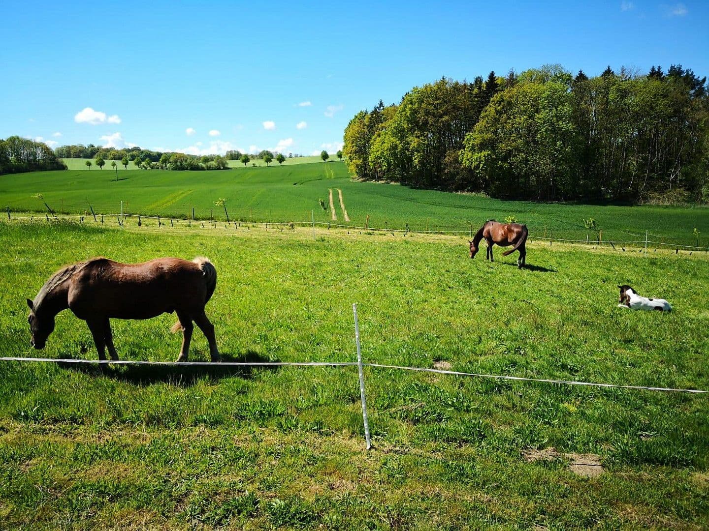 Prodej pozemku 2.000 m², Alter Kastanienweg 8, Satow, Mecklenburg-Vorpommern Prodej pozemku 2.000 m², Alter Kastanienweg 8, Satow, Mecklenburg-Vorpommern