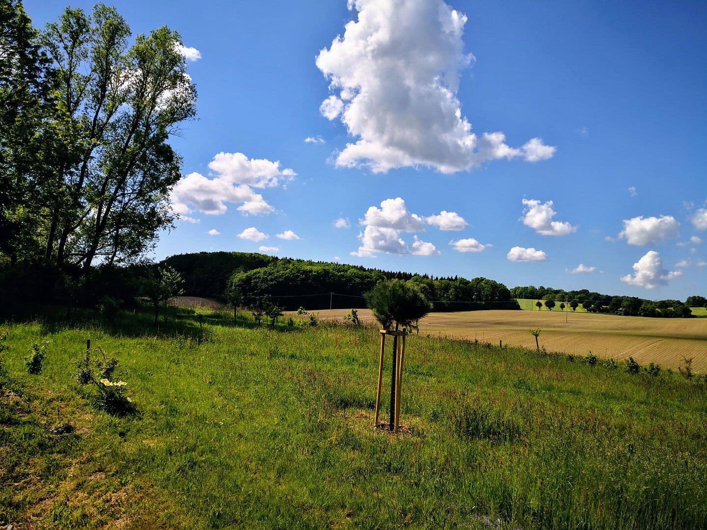 Prodej pozemku 2.000 m², Alter Kastanienweg 8, Satow, Mecklenburg-Vorpommern Prodej pozemku 2.000 m², Alter Kastanienweg 8, Satow, Mecklenburg-Vorpommern