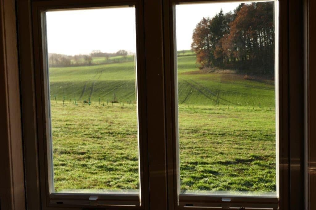 Prodej pozemku 2.000 m², Alter Kastanienweg 8, Satow, Mecklenburg-Vorpommern Prodej pozemku 2.000 m², Alter Kastanienweg 8, Satow, Mecklenburg-Vorpommern