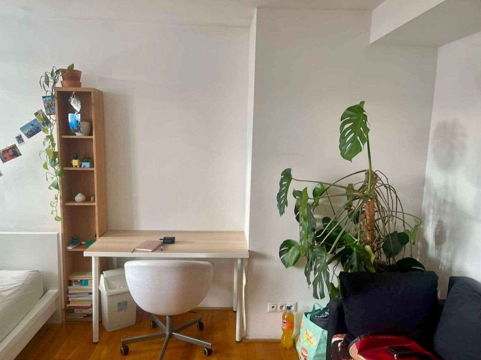 Pronájem bytu 5+kk 19 m², Řehořova, Praha, Praha Pronájem bytu 5+kk 19 m², Řehořova, Praha, Praha