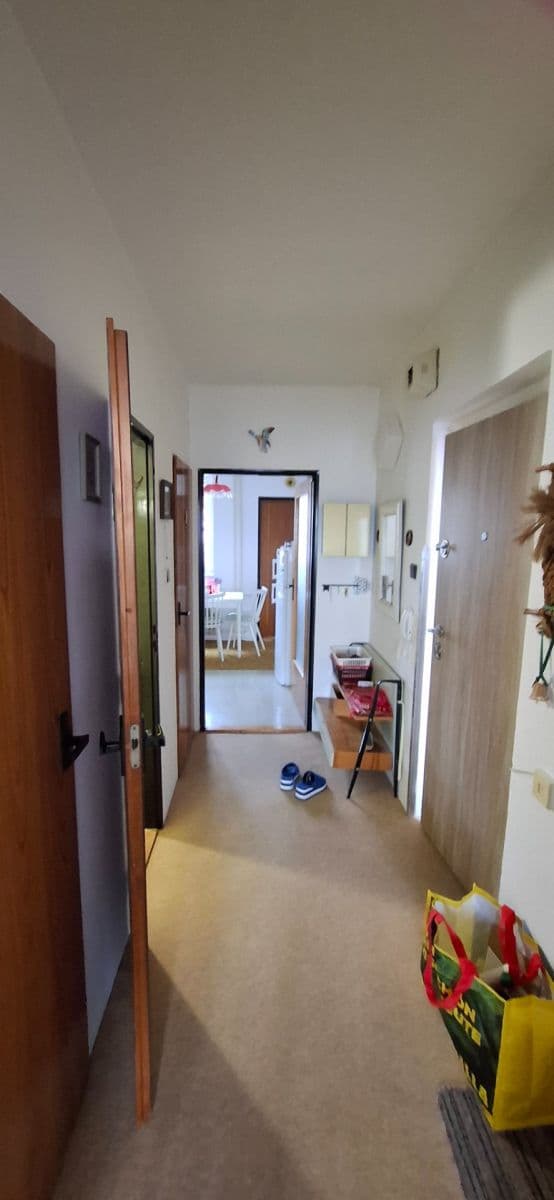 Prodej bytu 2+1 53 m², Roháče z Dubé, České Budějovice, Jihočeský kraj Prodej bytu 2+1 53 m², Roháče z Dubé, České Budějovice, Jihočeský kraj