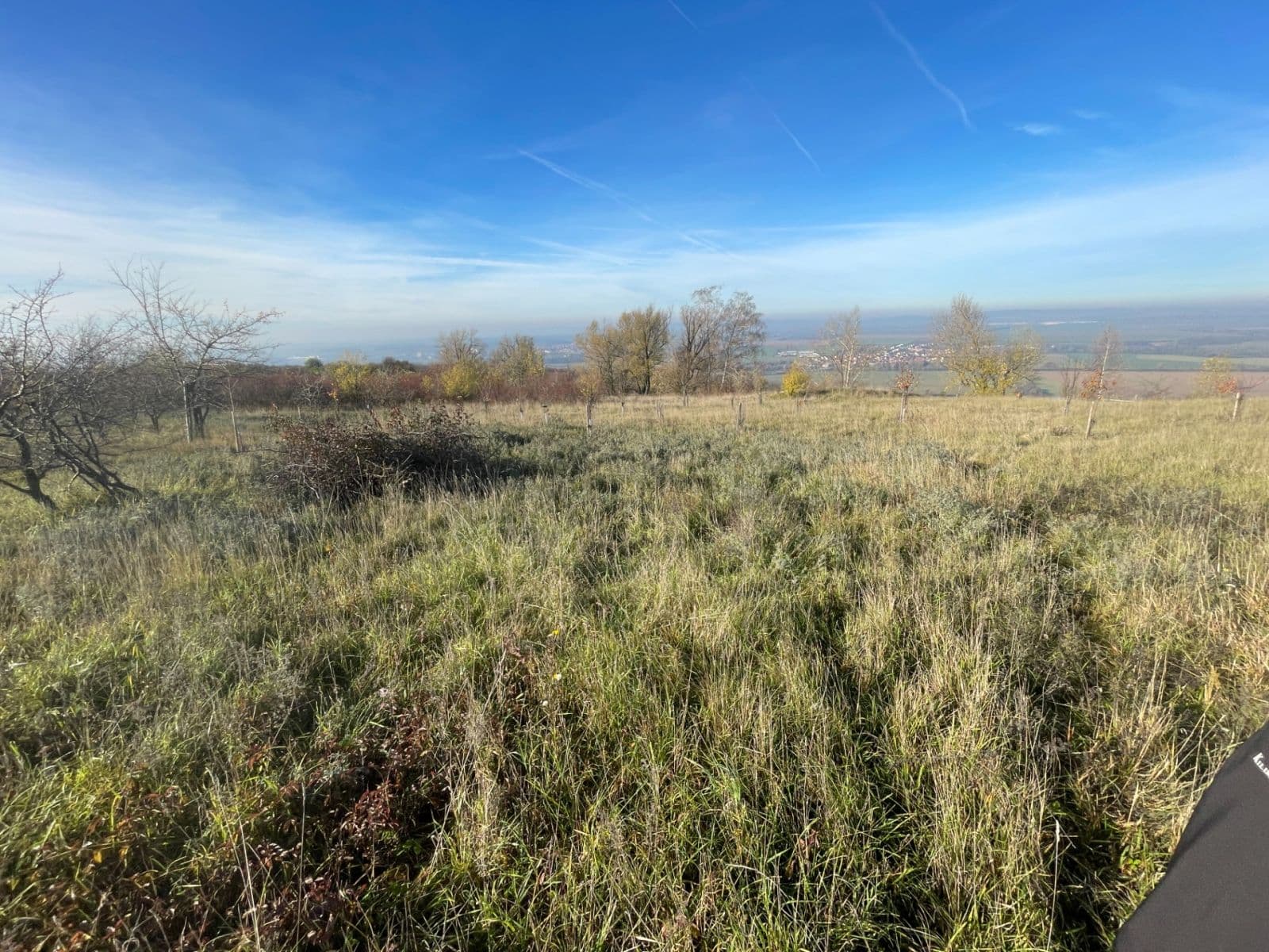 Prodej pozemku 7.721 m², Židlochovice, Jihomoravský kraj Prodej pozemku 7.721 m², Židlochovice, Jihomoravský kraj