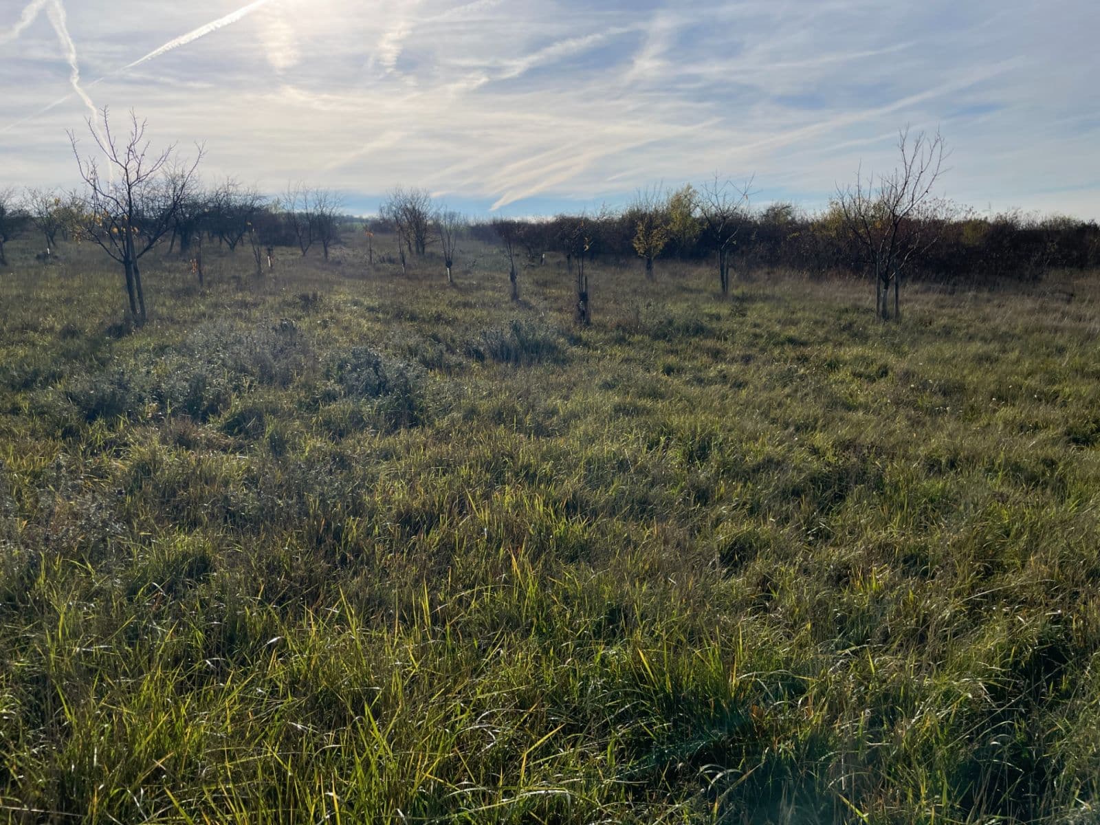 Prodej pozemku 7.721 m², Židlochovice, Jihomoravský kraj Prodej pozemku 7.721 m², Židlochovice, Jihomoravský kraj