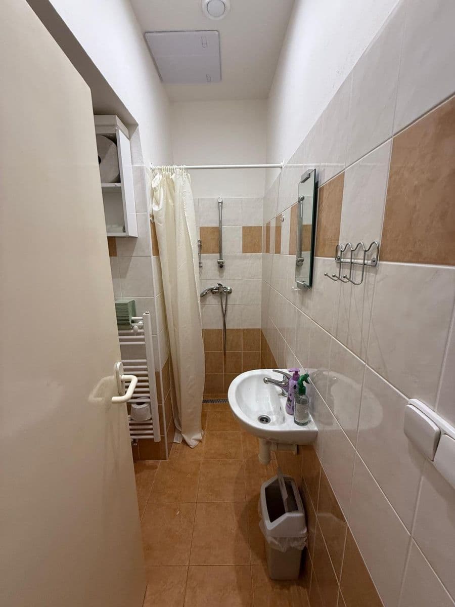 Pronájem bytu 300 m², Lublaňská, Praha, Praha Pronájem bytu 300 m², Lublaňská, Praha, Praha