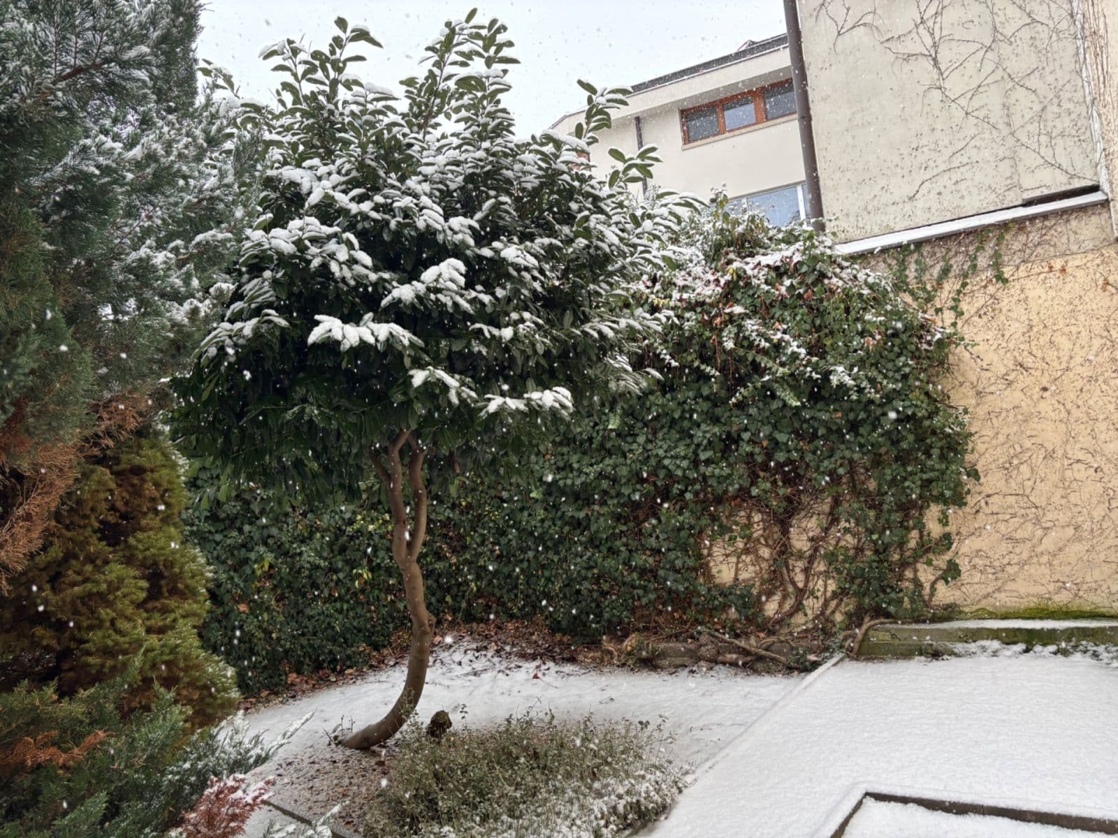 Prodej bytu 2+kk 50 m², Vocelova, Kutná Hora, Středočeský kraj Prodej bytu 2+kk 50 m², Vocelova, Kutná Hora, Středočeský kraj