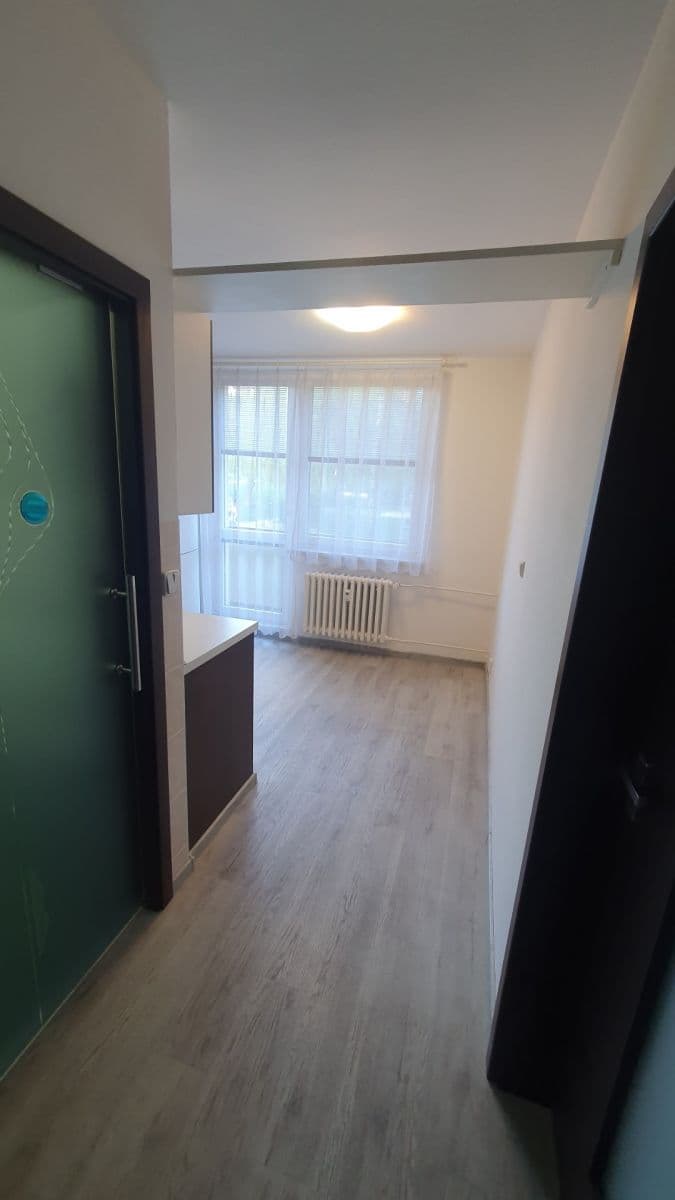 Pronájem bytu 1+1 37 m², Absolonova, Brno, Jihomoravský kraj Pronájem bytu 1+1 37 m², Absolonova, Brno, Jihomoravský kraj