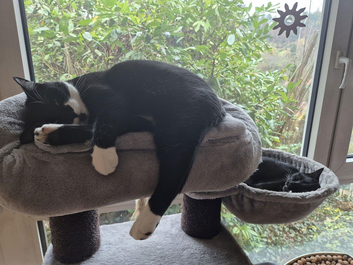 Pronájem bytu 4+1 120 m², Weinstadt, Bádensko-Württembersko Pronájem bytu 4+1 120 m², Weinstadt, Bádensko-Württembersko