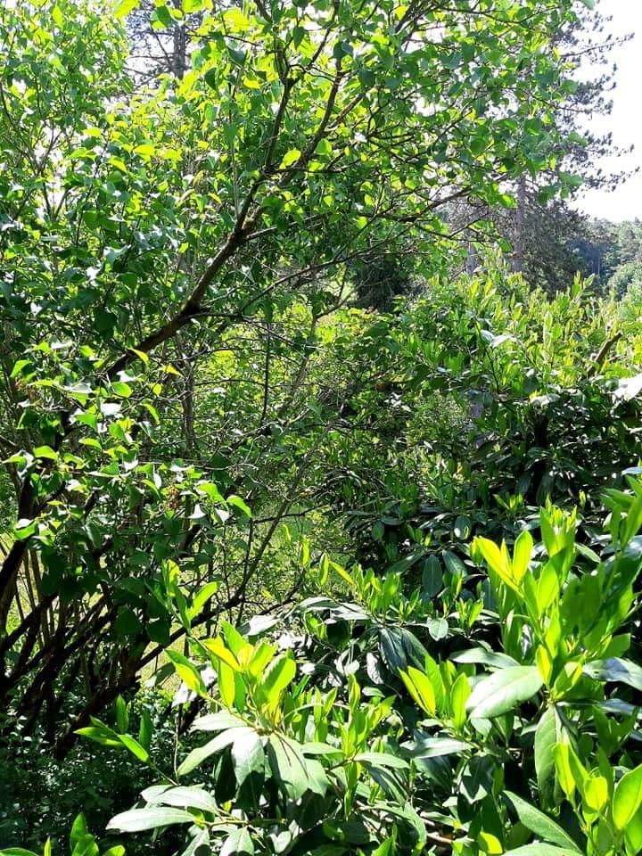 Pronájem bytu 4+1 120 m², Weinstadt, Bádensko-Württembersko Pronájem bytu 4+1 120 m², Weinstadt, Bádensko-Württembersko