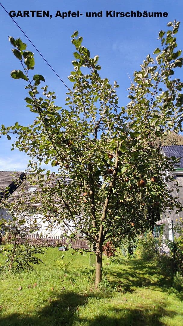 Prodej domu 157 m², pozemek 470 m², Remscheid, Nordrhein-Westfalen, Severní Porýní-Vestfálsko Prodej domu 157 m², pozemek 470 m², Remscheid, Nordrhein-Westfalen, Severní Porýní-Vestfálsko