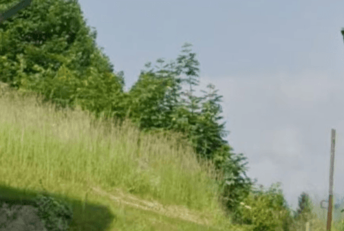 Prodej pozemku 1.230 m², Oberhüttendorfer Weg 14, Bad Bleiberg, Korutany Prodej pozemku 1.230 m², Oberhüttendorfer Weg 14, Bad Bleiberg, Korutany