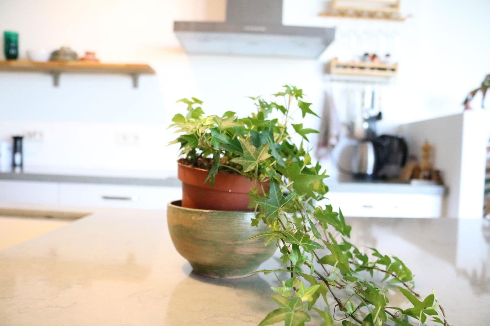 Pronájem bytu 3+1 119 m², Berlin, Berlín Pronájem bytu 3+1 119 m², Berlin, Berlín