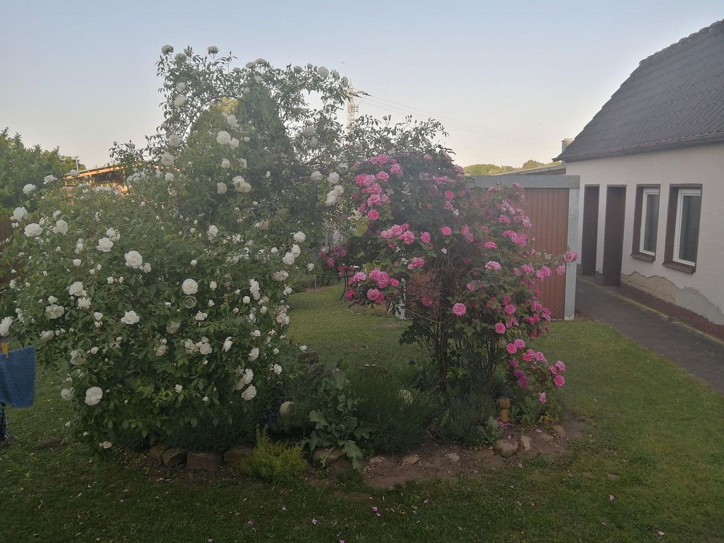 Prodej domu 150 m², pozemek 539 m², Knittelsheim, Porýní-Falc Prodej domu 150 m², pozemek 539 m², Knittelsheim, Porýní-Falc