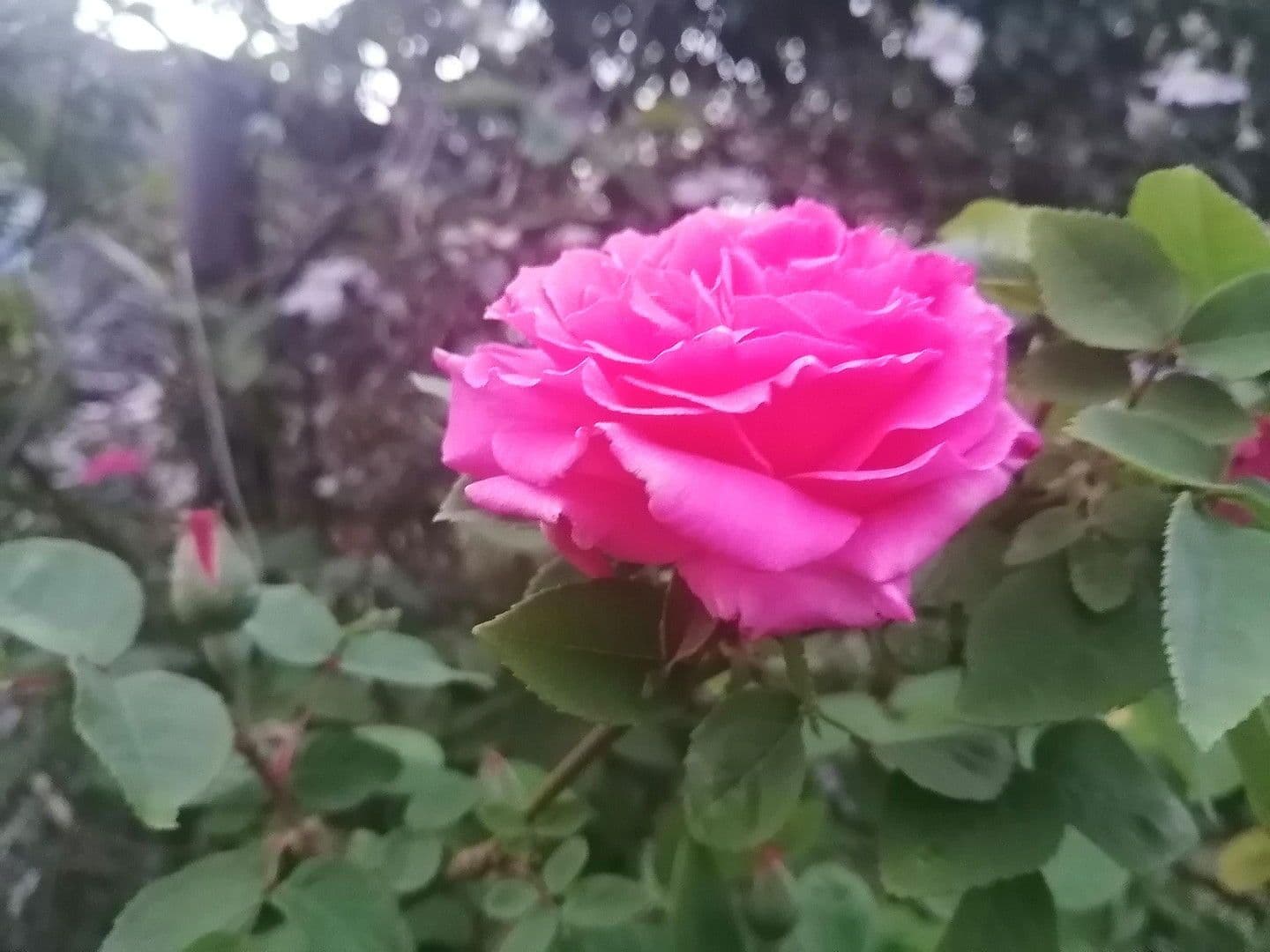 Prodej domu 150 m², pozemek 539 m², Knittelsheim, Porýní-Falc Prodej domu 150 m², pozemek 539 m², Knittelsheim, Porýní-Falc