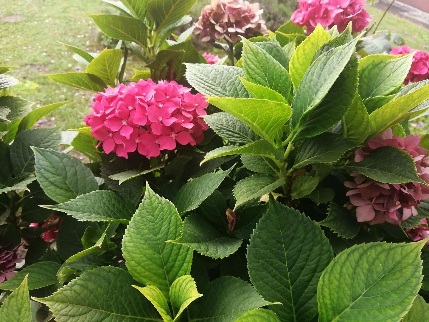 Prodej domu 150 m², pozemek 539 m², Knittelsheim, Porýní-Falc Prodej domu 150 m², pozemek 539 m², Knittelsheim, Porýní-Falc