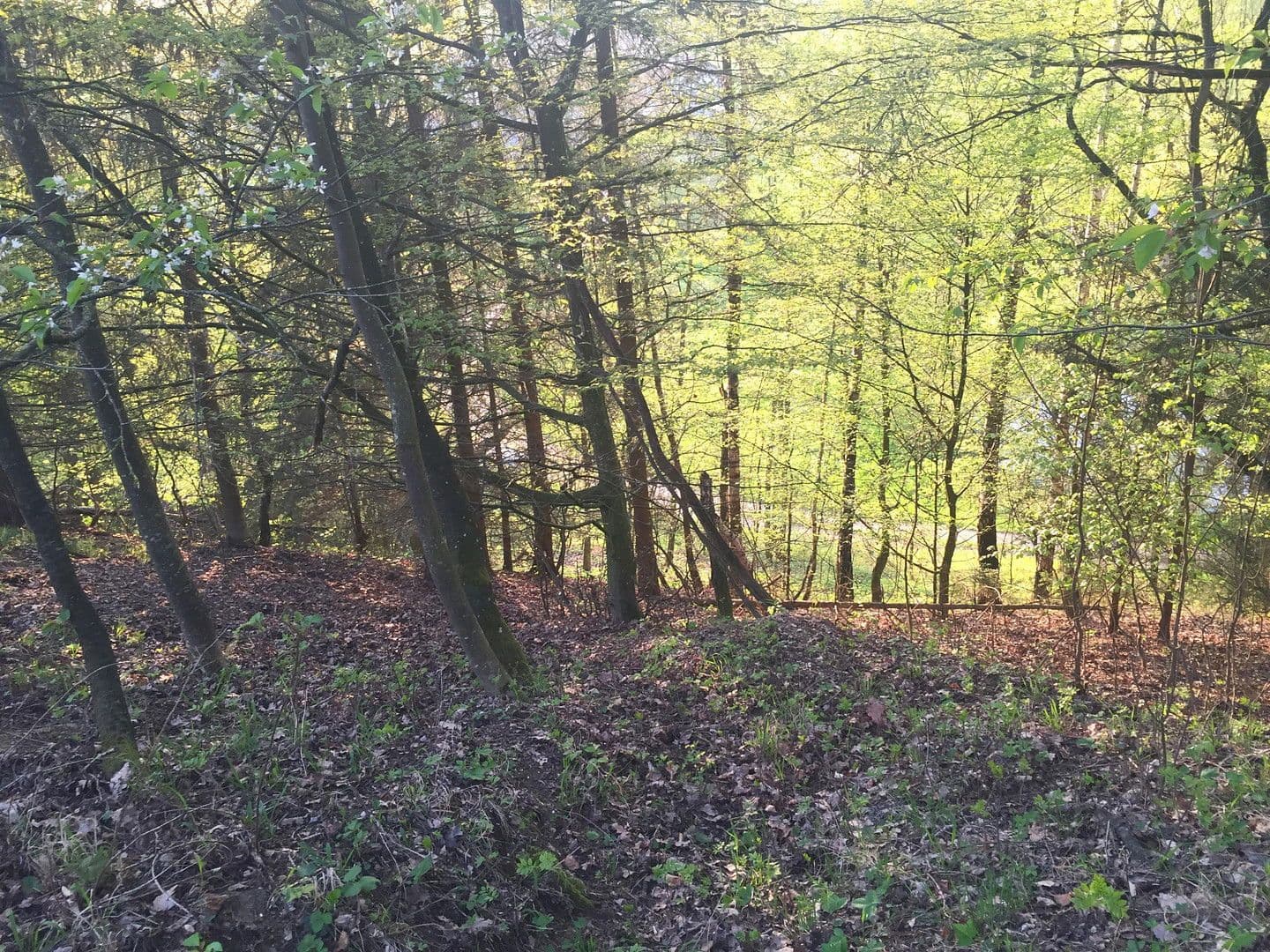 Prodej domu 60 m², pozemek 11.475 m², Adlkofen, Bavorsko Prodej domu 60 m², pozemek 11.475 m², Adlkofen, Bavorsko