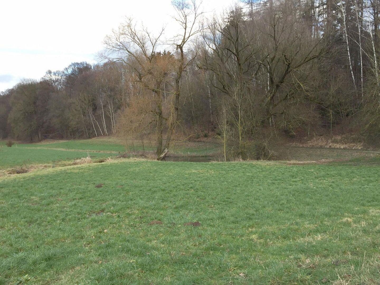 Prodej domu 60 m², pozemek 11.475 m², Adlkofen, Bavorsko Prodej domu 60 m², pozemek 11.475 m², Adlkofen, Bavorsko