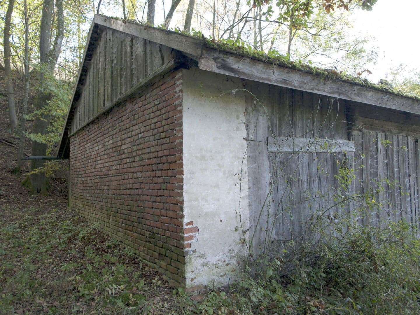 Prodej domu 60 m², pozemek 11.475 m², Adlkofen, Bavorsko Prodej domu 60 m², pozemek 11.475 m², Adlkofen, Bavorsko