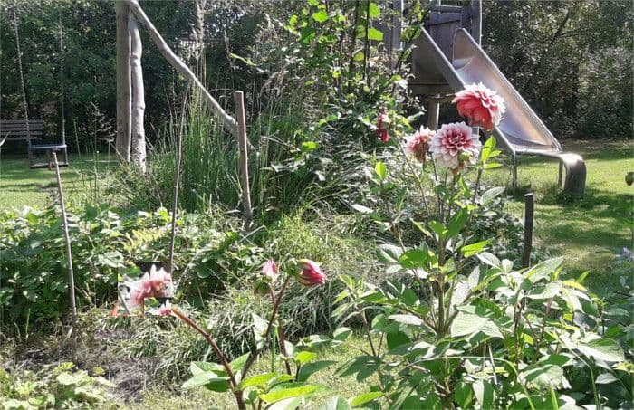 Prodej domu 835 m², pozemek 5.200 m², Rechlin, Mecklenburg-Vorpommern Prodej domu 835 m², pozemek 5.200 m², Rechlin, Mecklenburg-Vorpommern