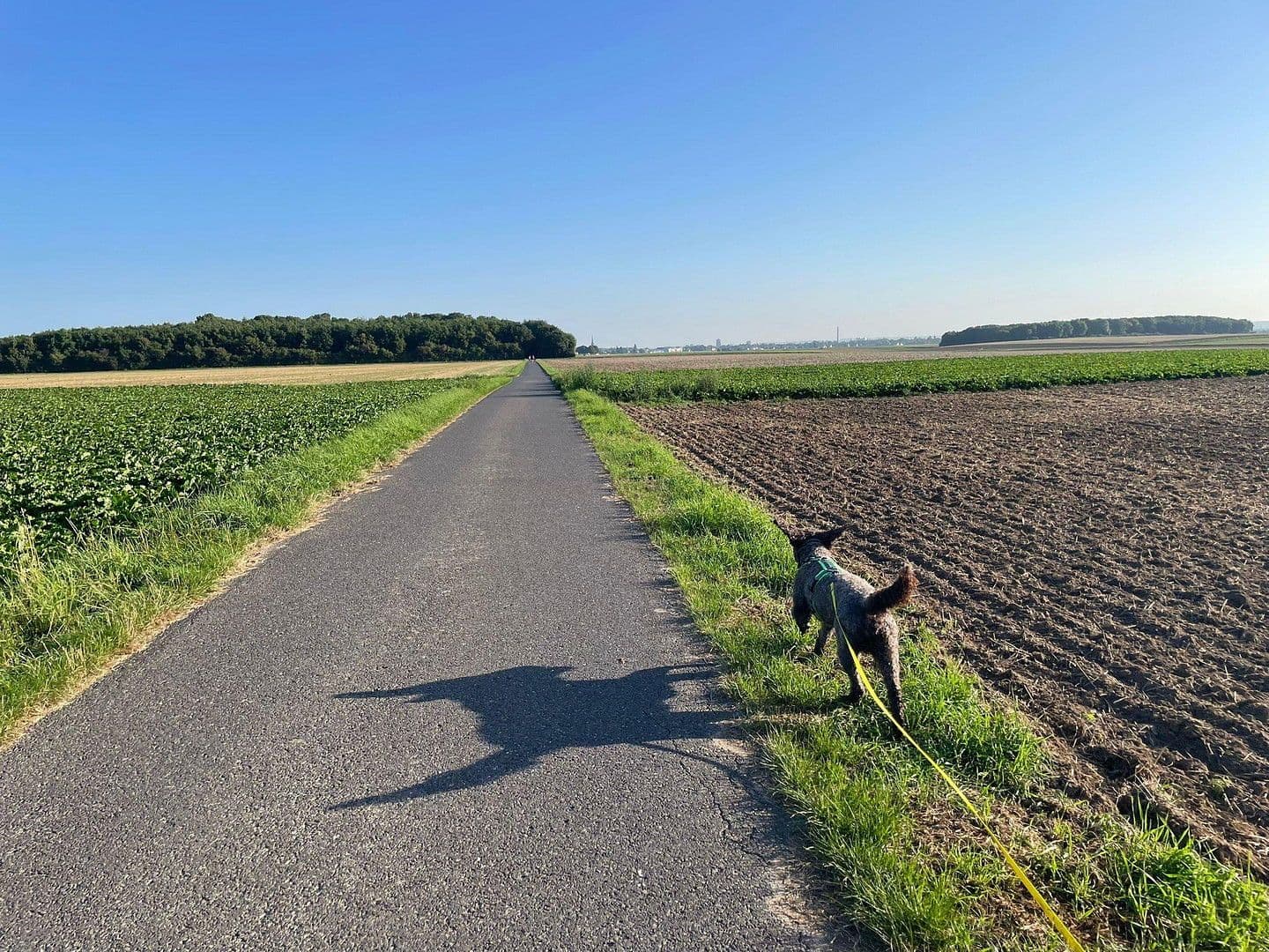 Prodej domu 187 m², pozemek 330 m², Niederkassel, Severní Porýní-Vestfálsko Prodej domu 187 m², pozemek 330 m², Niederkassel, Severní Porýní-Vestfálsko