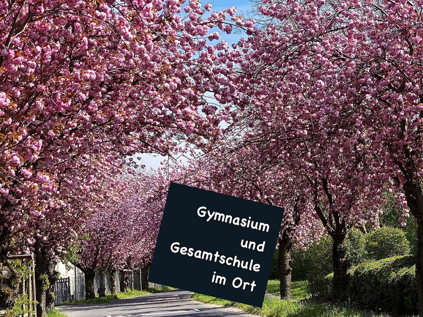 Prodej domu 187 m², pozemek 330 m², Niederkassel, Severní Porýní-Vestfálsko Prodej domu 187 m², pozemek 330 m², Niederkassel, Severní Porýní-Vestfálsko