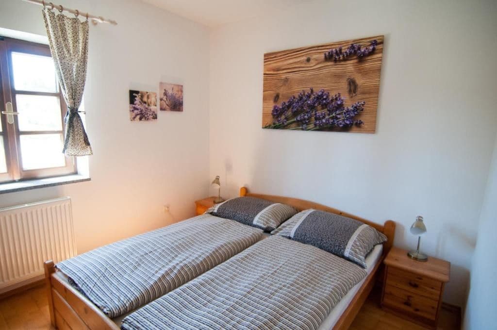 Pronájem bytu 2+kk 40 m², Palackého, Horní Planá, Jihočeský kraj Pronájem bytu 2+kk 40 m², Palackého, Horní Planá, Jihočeský kraj