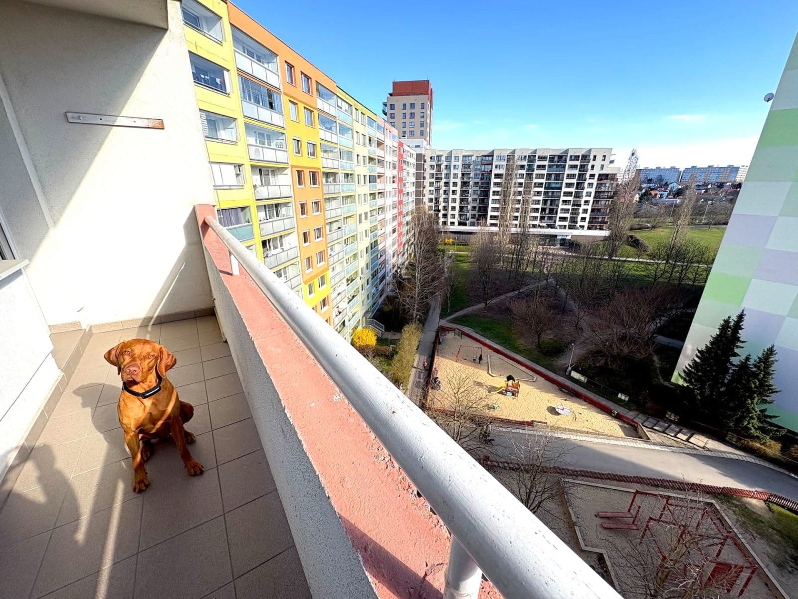 Prodej bytu 2+kk 54 m², Zvoncovitá, Praha, Praha Prodej bytu 2+kk 54 m², Zvoncovitá, Praha, Praha