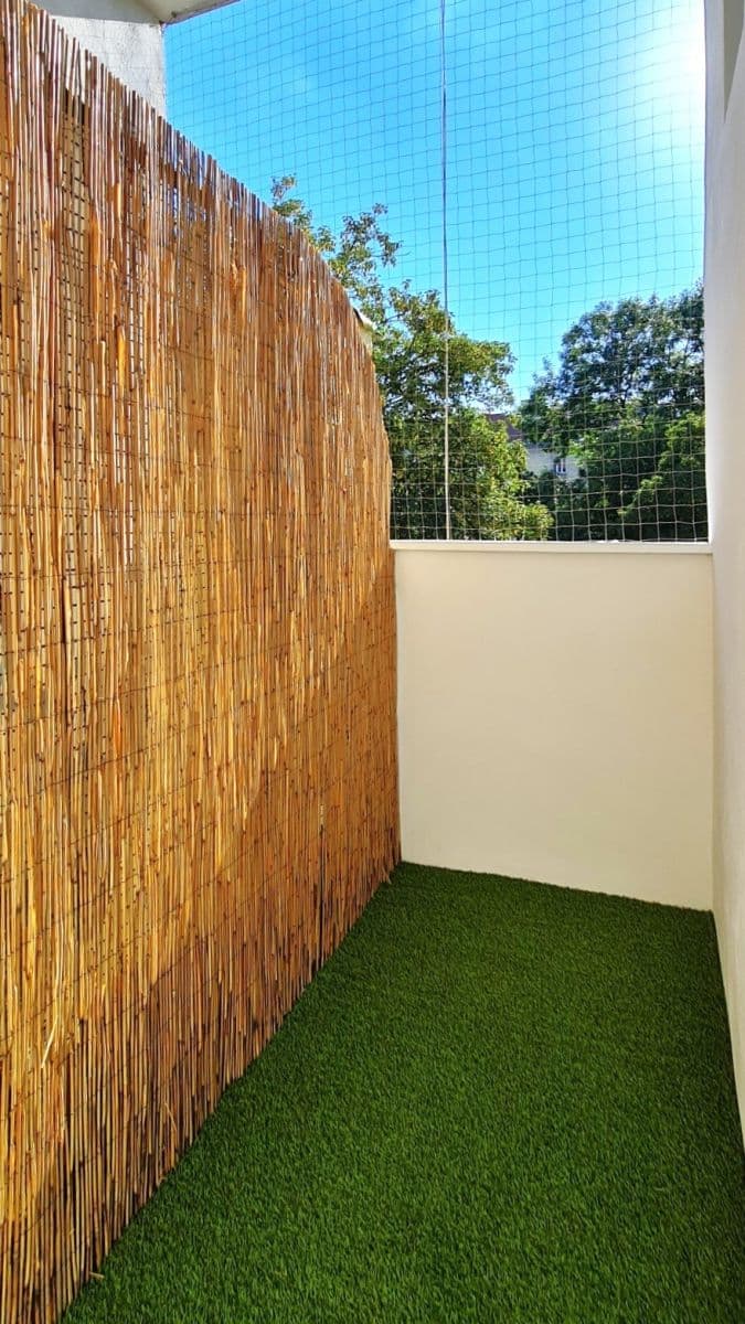 Pronájem bytu 2+1 50 m², Na Louži, Praha, Praha Pronájem bytu 2+1 50 m², Na Louži, Praha, Praha