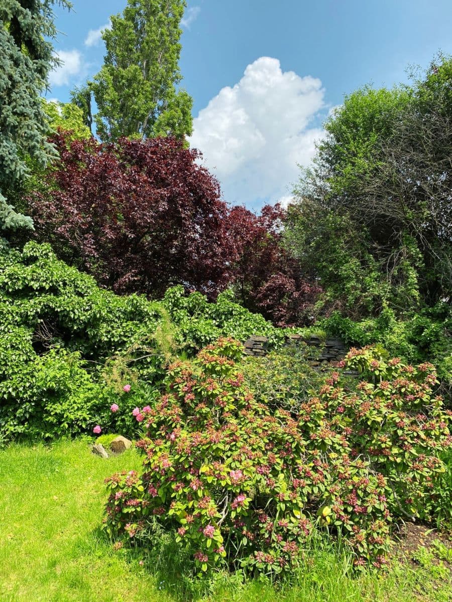 Prodej domu 202 m², pozemek 1.606 m², Masarykovo nám., Říčany, Středočeský kraj Prodej domu 202 m², pozemek 1.606 m², Masarykovo nám., Říčany, Středočeský kraj