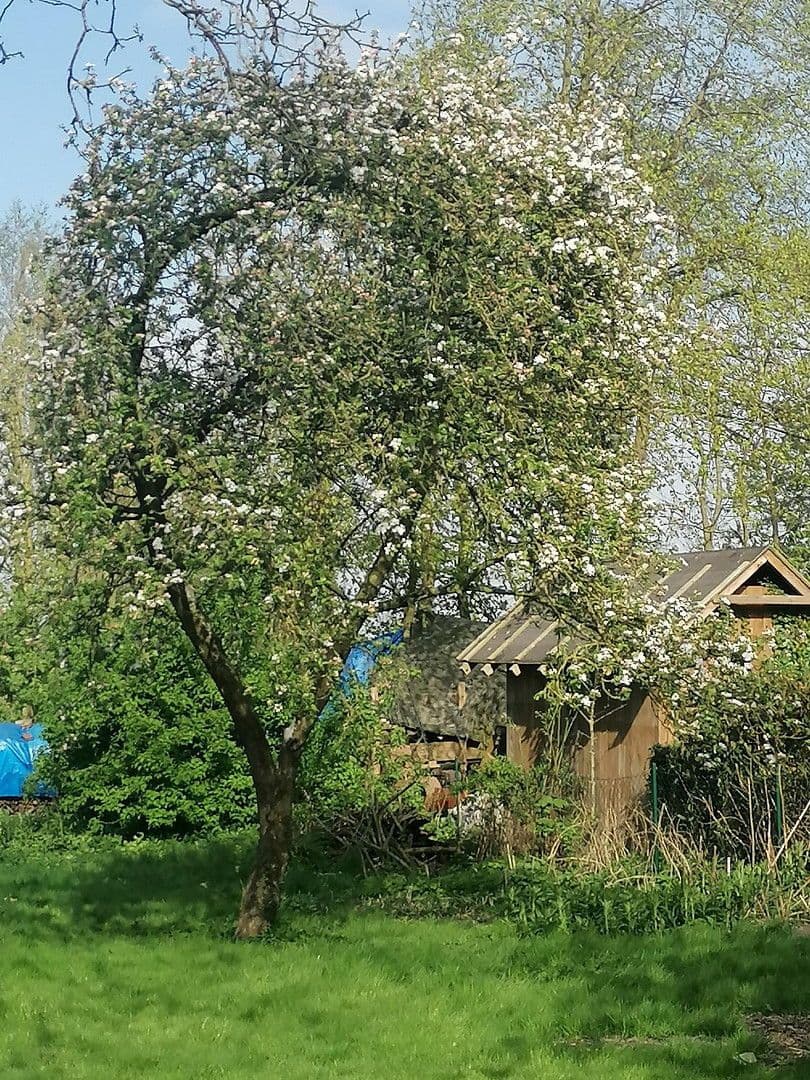 Prodej pozemku 800 m², Butjadingen, Dolní Sasko Prodej pozemku 800 m², Butjadingen, Dolní Sasko