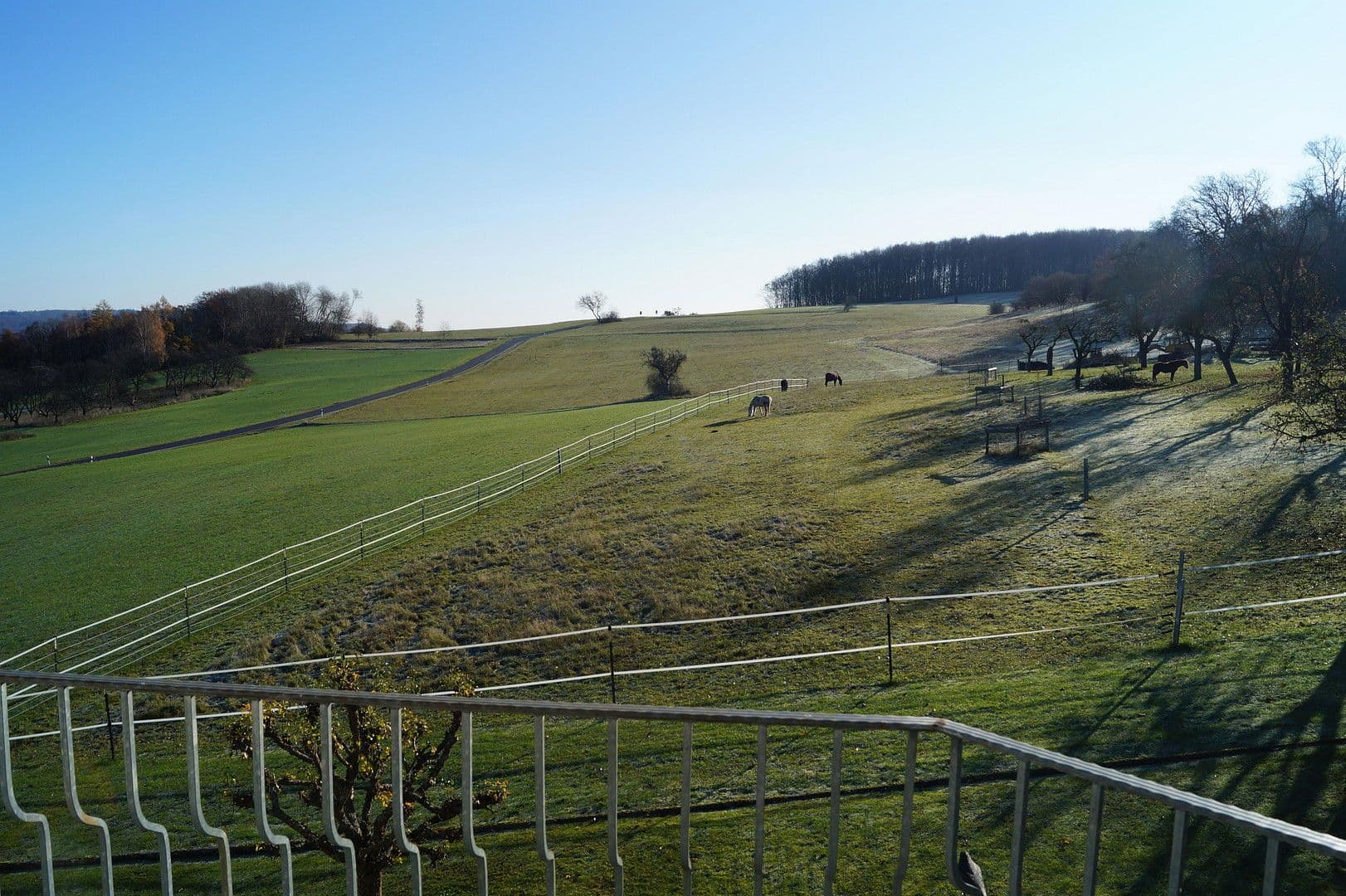 Prodej domu 190 m², pozemek 765 m², Vor dem Kalk 11, Berzhahn, Porýní-Falc Prodej domu 190 m², pozemek 765 m², Vor dem Kalk 11, Berzhahn, Porýní-Falc