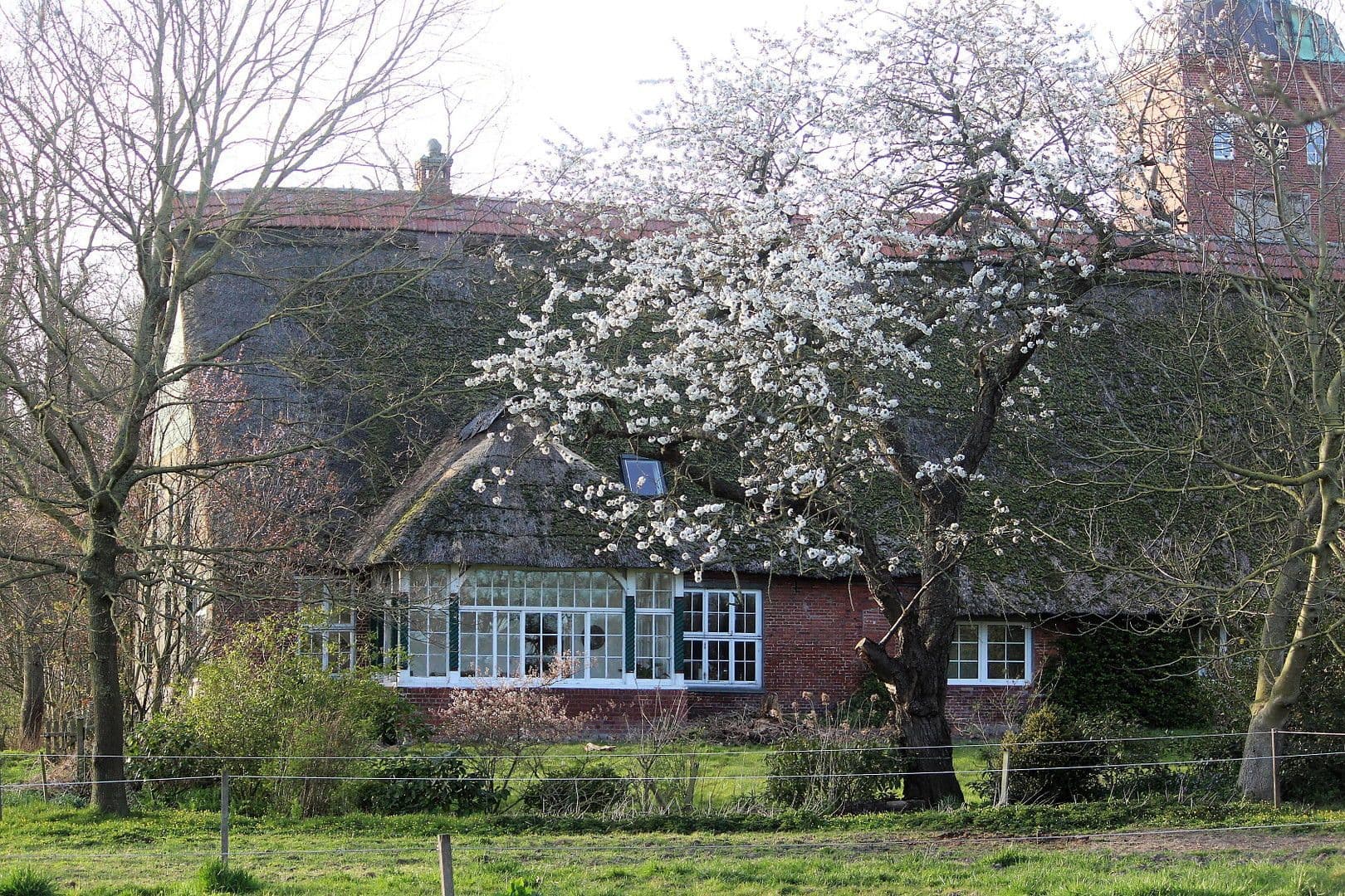 Prodej domu 380 m², pozemek 350.000 m², Domäne Hünkemann 1, Wurster Nordseeküste, Dolní Sasko Prodej domu 380 m², pozemek 350.000 m², Domäne Hünkemann 1, Wurster Nordseeküste, Dolní Sasko