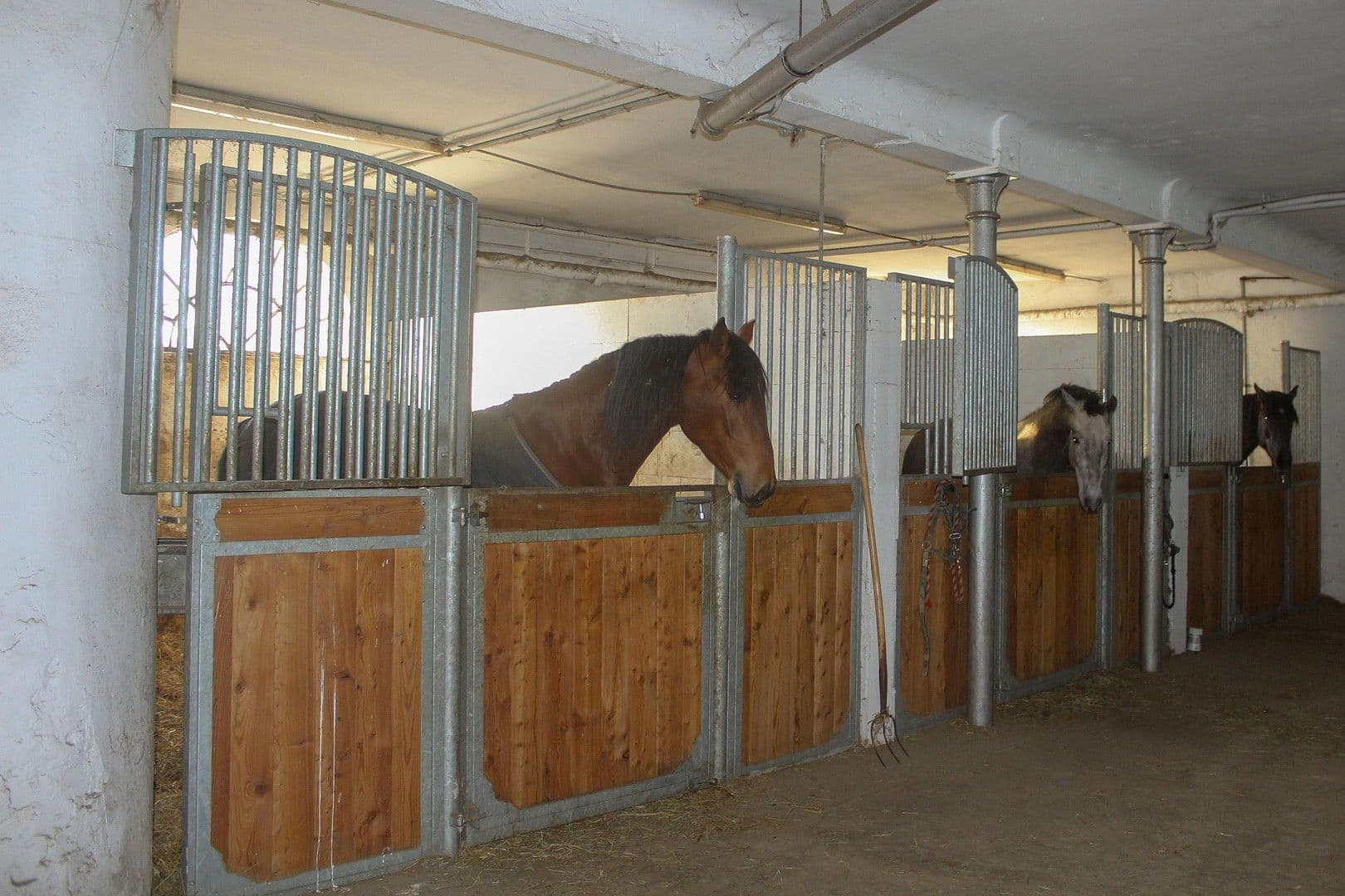 Prodej domu 380 m², pozemek 350.000 m², Domäne Hünkemann 1, Wurster Nordseeküste, Dolní Sasko Prodej domu 380 m², pozemek 350.000 m², Domäne Hünkemann 1, Wurster Nordseeküste, Dolní Sasko