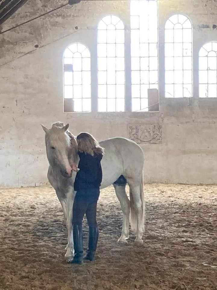 Prodej domu 380 m², pozemek 350.000 m², Domäne Hünkemann 1, Wurster Nordseeküste, Dolní Sasko Prodej domu 380 m², pozemek 350.000 m², Domäne Hünkemann 1, Wurster Nordseeküste, Dolní Sasko