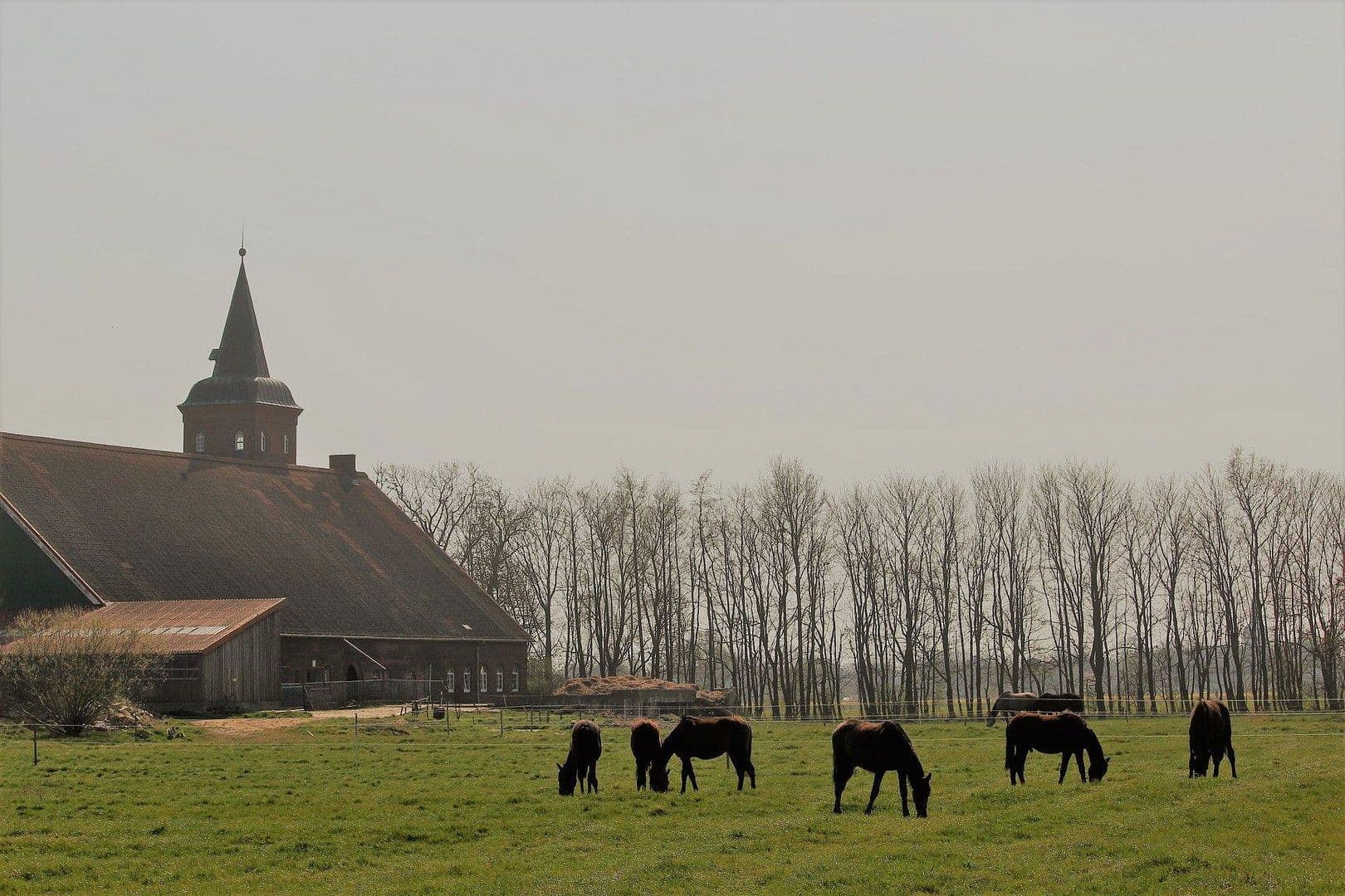 Prodej domu 380 m², pozemek 350.000 m², Domäne Hünkemann 1, Wurster Nordseeküste, Dolní Sasko Prodej domu 380 m², pozemek 350.000 m², Domäne Hünkemann 1, Wurster Nordseeküste, Dolní Sasko